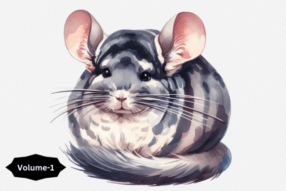 Chinchilla Watercolor Sublimation Vol-1: Soft Illustrations for Cozy Craft Collections