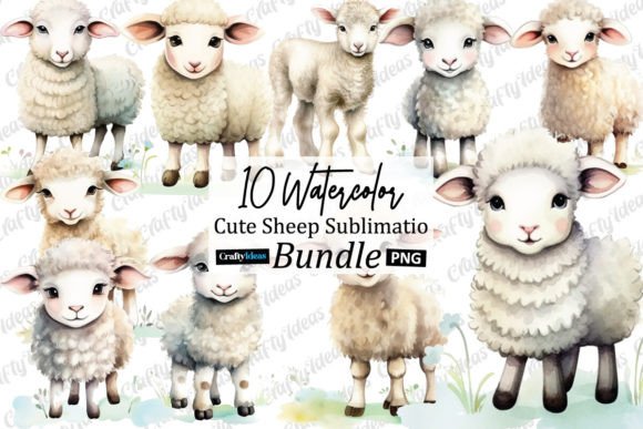 Cute Sheep Watercolor Illustrations for Branding & Marketing