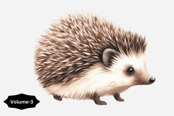 Cute Watercolor Hedgehog Clipart: A Designer’s Take on Practical Branding Illustrations