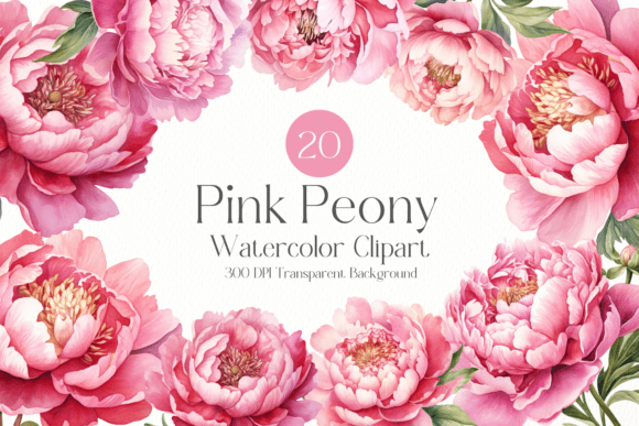 Elegant Floral Illustrations for Local Brand Design