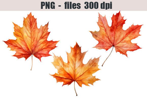 Maple Leaf Watercolor Clipart Review for Real Embroidery Use