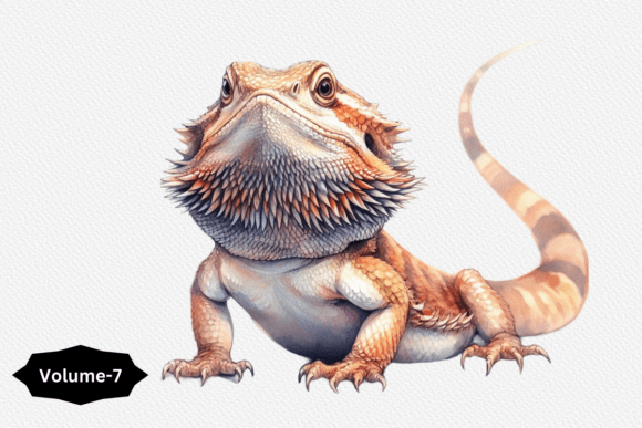 Watercolor Bearded Dragon Clipart PNG