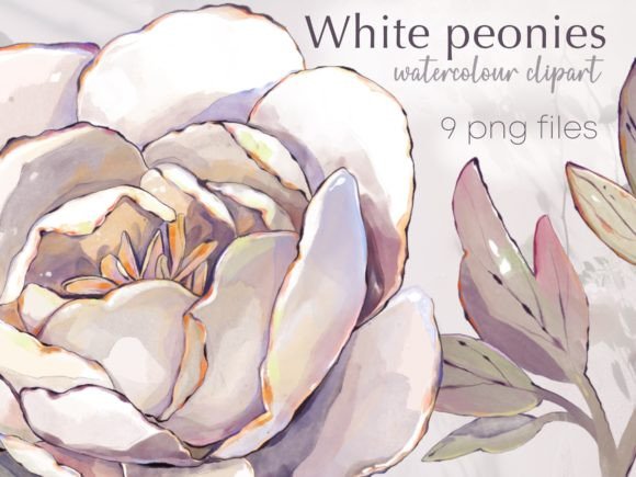 White Peonies Watercolour Clipart: A Brand Designer’s Honest Review for Marketing & Visual Content